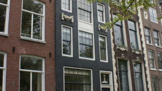 WikiMedia
