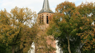 WikiMedia