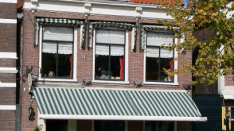 WikiMedia
