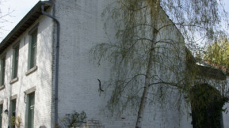 WikiMedia