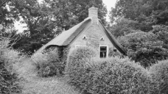 Rijksdienst voor het Cultureel Erfgoed: Heins, IJ.Th.