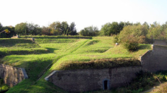 WikiMedia