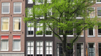 WikiMedia