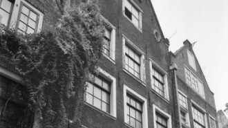 WikiMedia