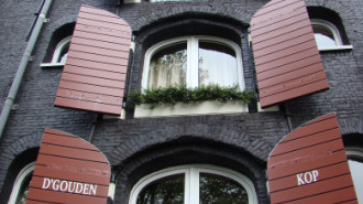 WikiMedia