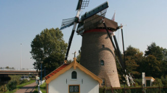 WikiMedia