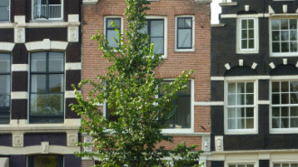 WikiMedia