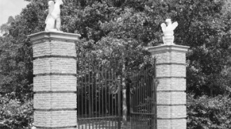 Rijksdienst voor het Cultureel Erfgoed: Wal, A.J. van der