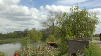WikiMedia