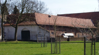 WikiMedia