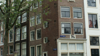 WikiMedia