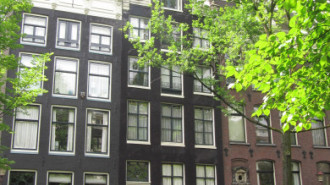 WikiMedia