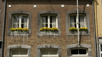 WikiMedia