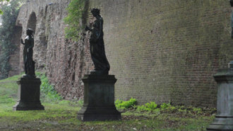 WikiMedia