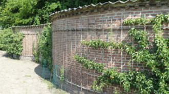 Rijksdienst voor het Cultureel Erfgoed: Bogers, Guido