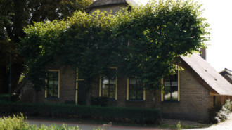 WikiMedia