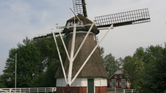 WikiMedia