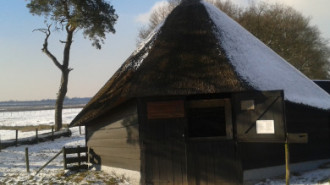 WikiMedia