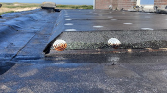 Rijksdienst voor het Cultureel Erfgoed: Bogers, Guido