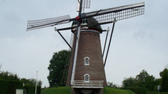 WikiMedia
