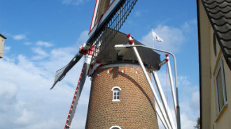 WikiMedia