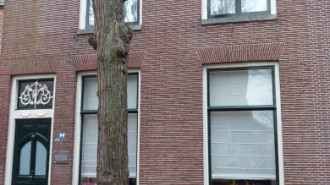 WikiMedia
