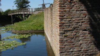 WikiMedia