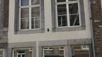 WikiMedia