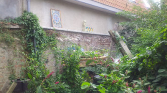 WikiMedia