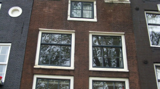 WikiMedia