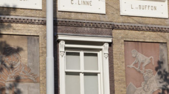 Rijksdienst voor het Cultureel Erfgoed: Booms, C.S. (Chris)