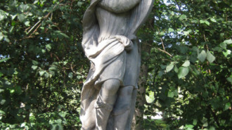 WikiMedia