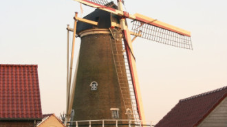 WikiMedia