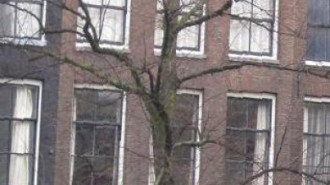 WikiMedia