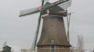 WikiMedia