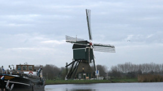 WikiMedia