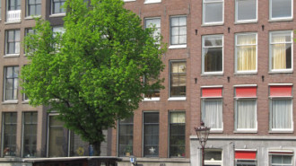 WikiMedia