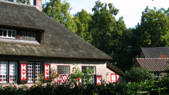 WikiMedia