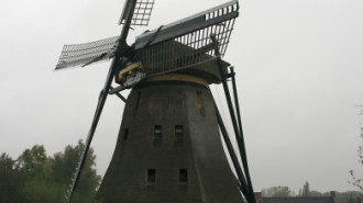 WikiMedia