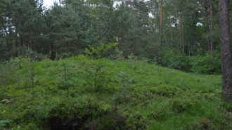 WikiMedia