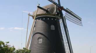WikiMedia