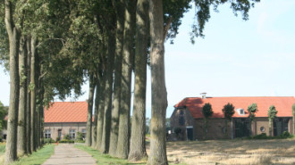 WikiMedia