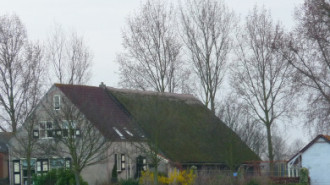 WikiMedia