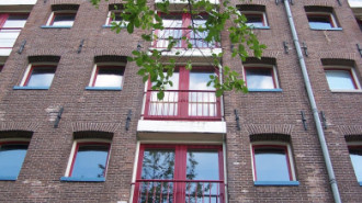 WikiMedia