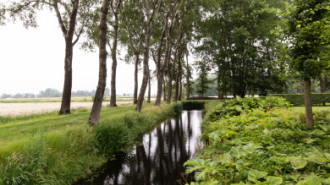 Rijksdienst voor het Cultureel Erfgoed: Sekuur, Mark