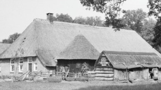 WikiMedia