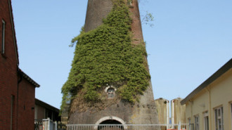 WikiMedia