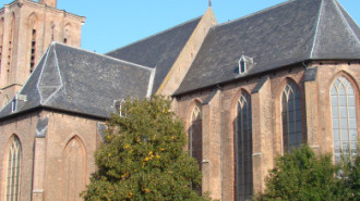 WikiMedia