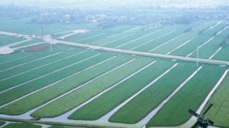 Rijksdienst voor het Cultureel Erfgoed: Swart, Siebe