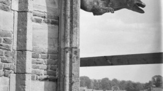 Rijksdienst voor het Cultureel Erfgoed: Schaft, N. van der